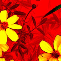 怎么去攻击一个网站与防护